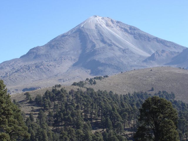 チアパス メキシコ 03 チアパス(メキシコ)のコーヒー農園風景